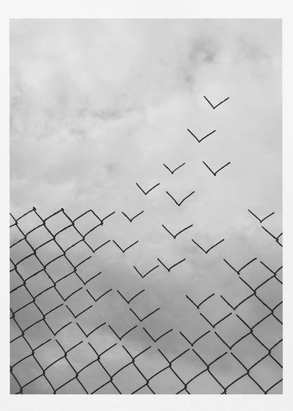A conceptual black and white artwork showing a chain-link fence against a cloudy sky. A part of the fence is breaking apart, with the individual links transforming into a flock of birds flying away, symbolizing freedom and escape. Artwork