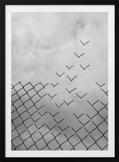 A conceptual black and white artwork showing a chain-link fence against a cloudy sky. A part of the fence is breaking apart, with the individual links transforming into a flock of birds flying away, symbolizing freedom and escape. Artwork