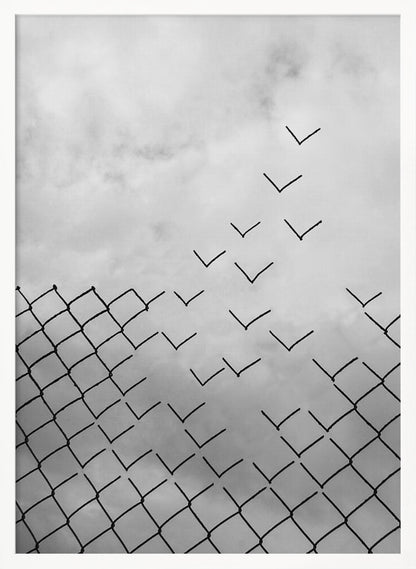 A conceptual black and white artwork showing a chain-link fence against a cloudy sky. A part of the fence is breaking apart, with the individual links transforming into a flock of birds flying away, symbolizing freedom and escape. Artwork