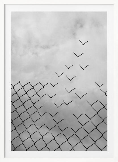 A conceptual black and white artwork showing a chain-link fence against a cloudy sky. A part of the fence is breaking apart, with the individual links transforming into a flock of birds flying away, symbolizing freedom and escape. Artwork