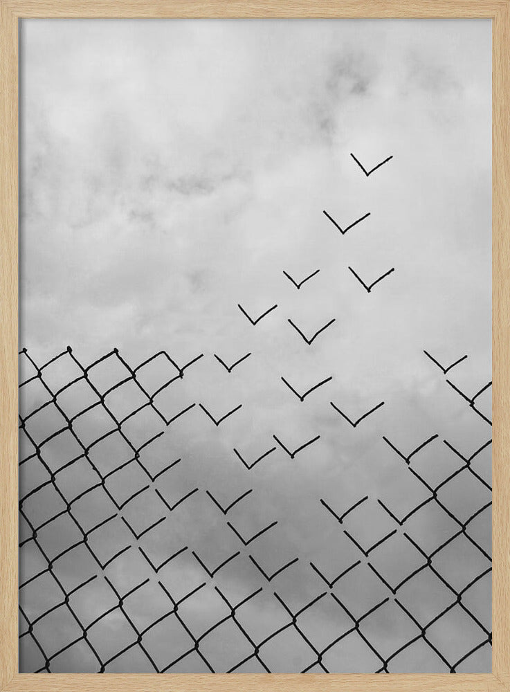 Freedom - Poster / Art Print