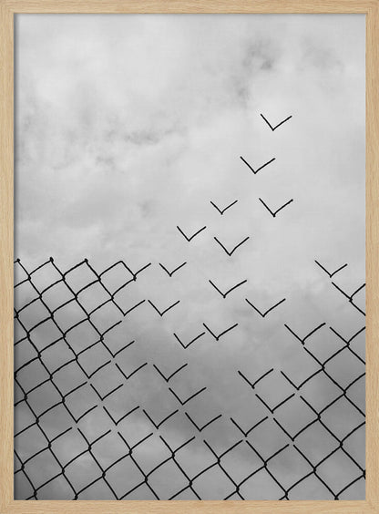 A conceptual black and white artwork showing a chain-link fence against a cloudy sky. A part of the fence is breaking apart, with the individual links transforming into a flock of birds flying away, symbolizing freedom and escape. Artwork