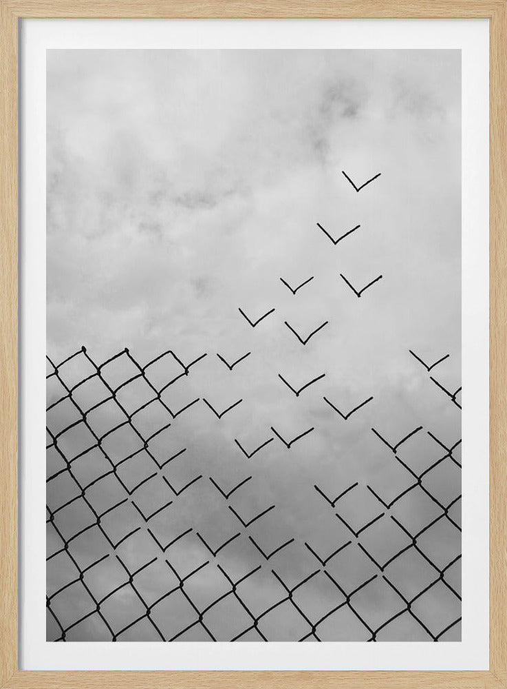 Freedom - Poster / Art Print