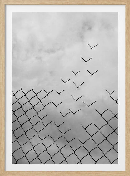 A conceptual black and white artwork showing a chain-link fence against a cloudy sky. A part of the fence is breaking apart, with the individual links transforming into a flock of birds flying away, symbolizing freedom and escape. Artwork
