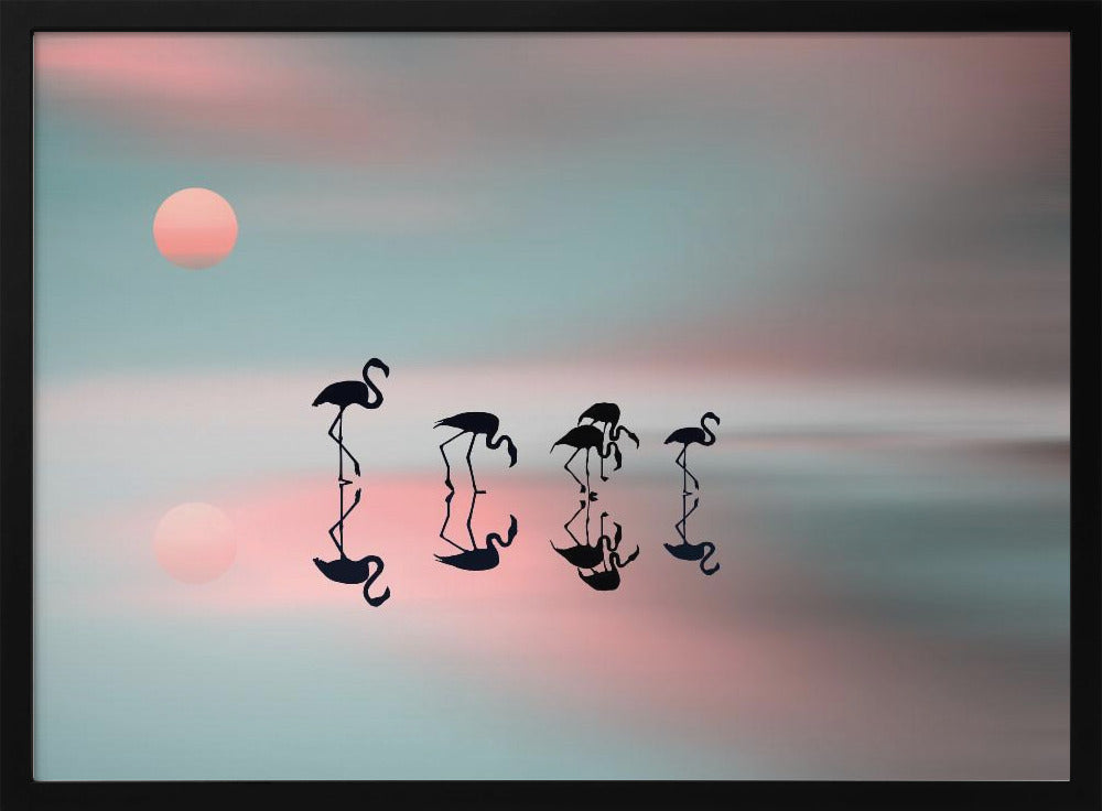 Family flamingos. - Poster / Art Print