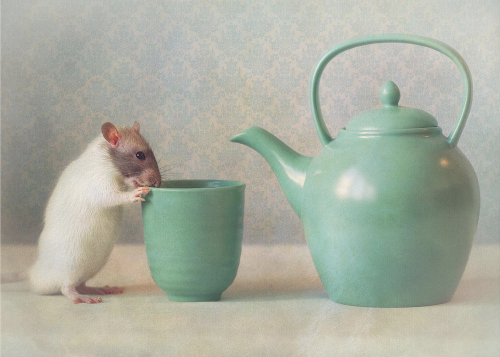 The Teapot - Poster / Art Print