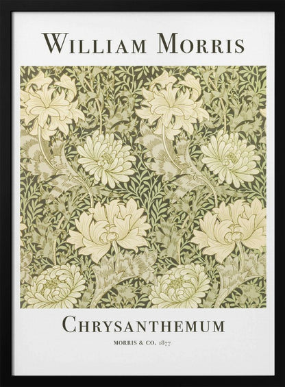 A framed art print of William Morris's 'Chrysanthemum' pattern from 1877. The design features a dense, repeating pattern of large, cream-colored chrysanthemums and foliage in shades of sage green on a dark green background. The poster has a white border with the artist's name at the top and the title at the bottom. Print