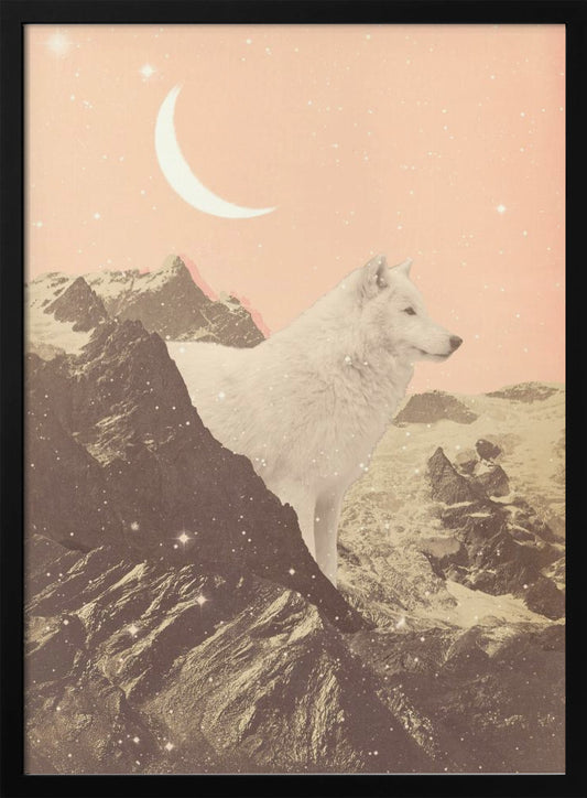 Giant White Wolf In Mountains - Poster / Art Print