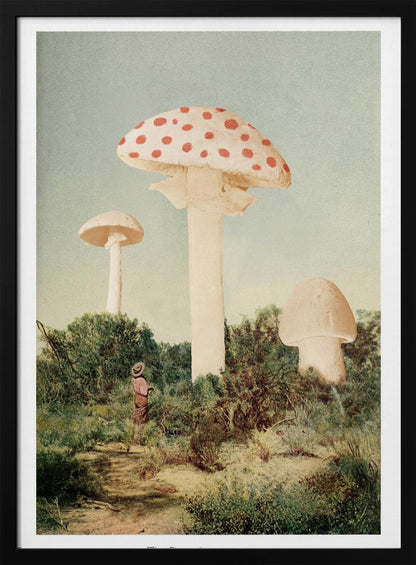 A vintage-style collage depicting a surreal landscape where a small person stands in a green, bushy field dwarfed by three enormous mushrooms, one of which is a red and white spotted toadstool. Wall Art