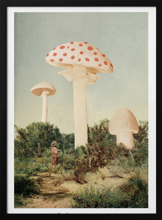 The Finest Giant Mushroom - Poster / Art Print