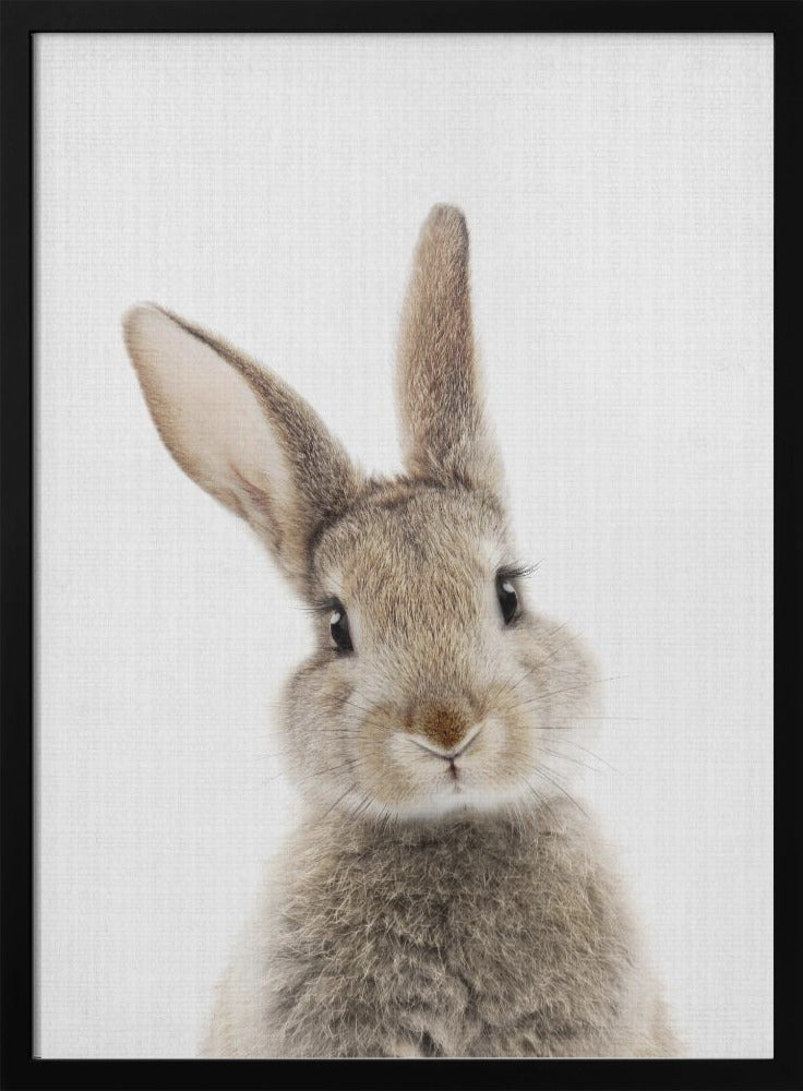 Peekaboo Bunny - Poster / Art Print