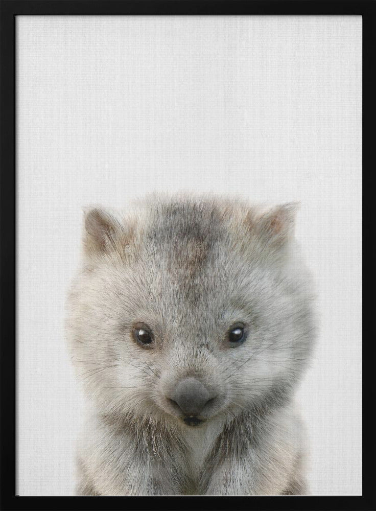 Peekaboo Baby Wombat - Poster / Art Print