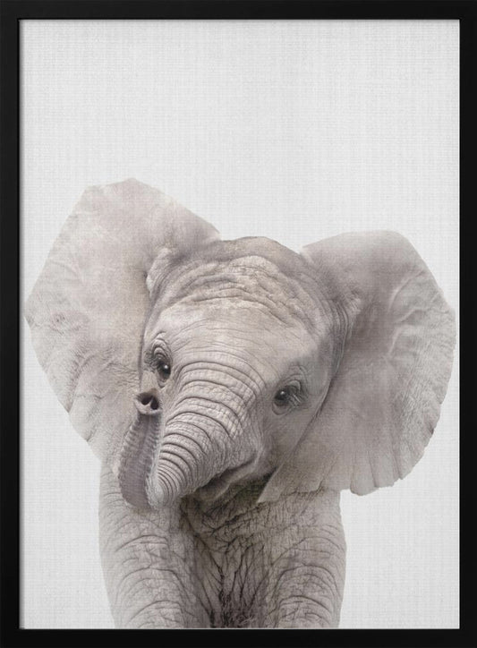 Peekaboo Baby Elephant - Poster / Art Print