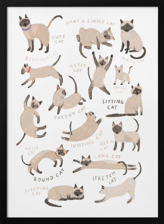 Siamese Cat Print - Poster / Art Print