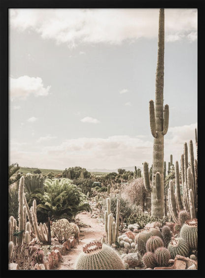 A vertical photograph of a dense cactus garden under a pale, partly cloudy sky. A tall saguaro cactus dominates the right side of the frame, while a dirt path winds through various species of cacti, including barrel cacti in the foreground. The image has a soft, muted, and slightly vintage color palette. Decor