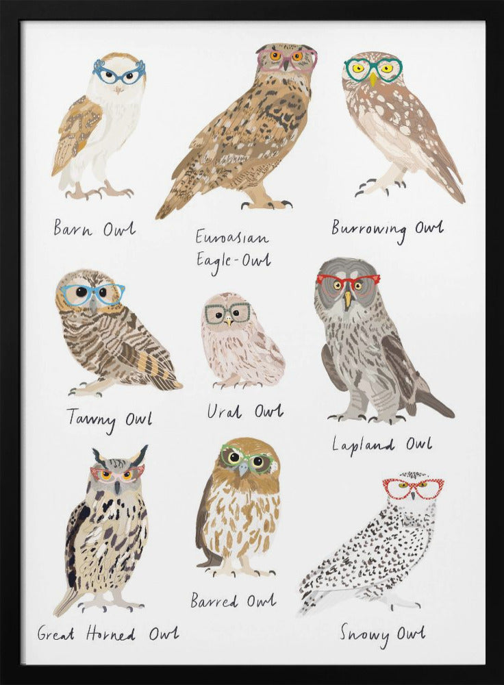 Owls In Glasses Print - Poster / Art Print