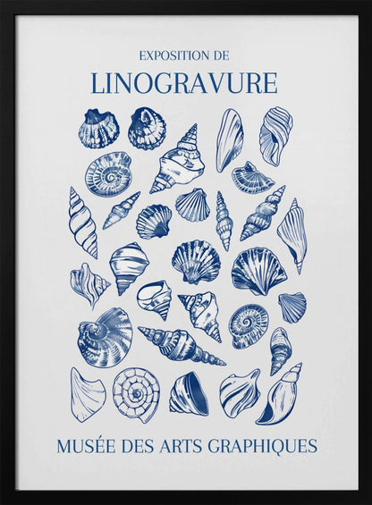 A vintage-style exhibition poster for 'Exposition de Linogravure' at the 'Musée des Arts Graphiques'. The poster features a collection of intricately detailed seashells illustrated in a blue linocut style on an off-white background, all enclosed in a simple black frame. Artwork