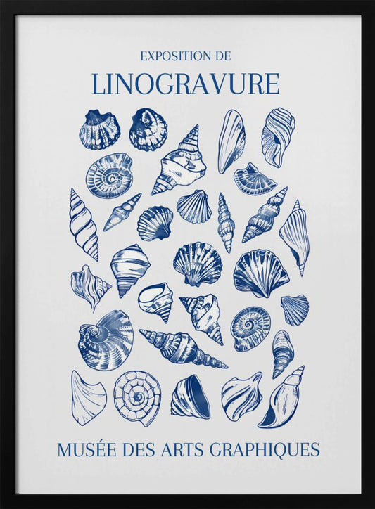 A vintage-style exhibition poster for 'Exposition de Linogravure' at the 'Musée des Arts Graphiques'. The poster features a collection of intricately detailed seashells illustrated in a blue linocut style on an off-white background, all enclosed in a simple black frame. Artwork
