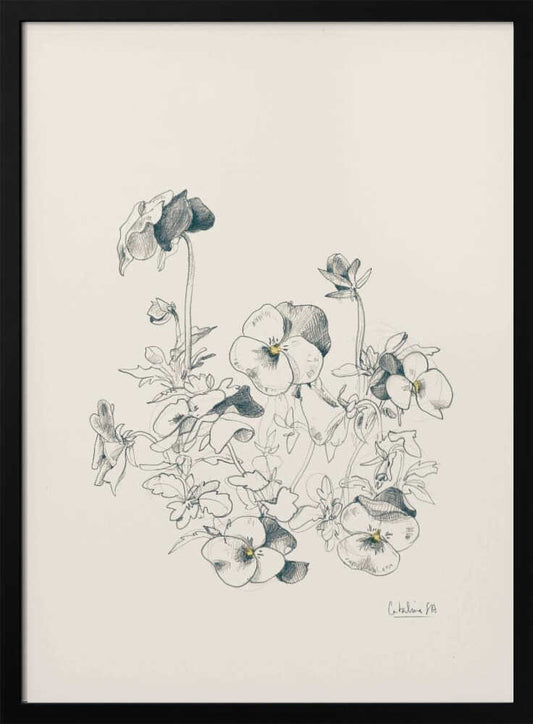 A vertical, framed pencil sketch of a cluster of pansy flowers on a cream-colored background. The artwork features detailed linework and shading, capturing the delicate petals and leaves of the flowers. The entire piece is housed in a simple, thin black frame. Artwork