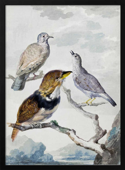 A vintage watercolor illustration of three different birds resting on a tree branch. One is a light brown and grey dove, another is a small grey bird looking upwards with its beak open, and the third is a more colorful bird with brown, gold, and black plumage and a yellow beak. The background is a soft, cloudy sky above a distant blue mountain range. Wall Art