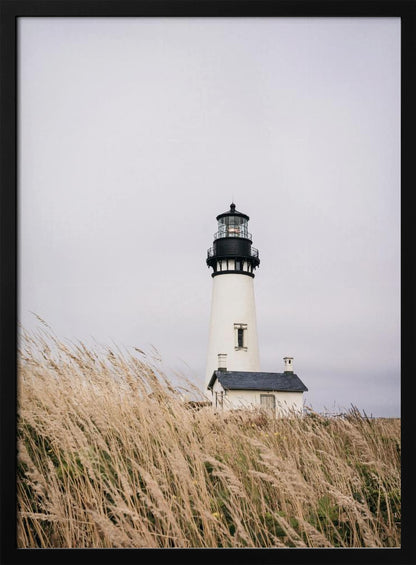 A framed photograph of a white lighthouse with a black top, set against a muted, overcast sky. The foreground is filled with tall, wild beige grass blowing in the wind, partially obscuring the base of the lighthouse. Decor