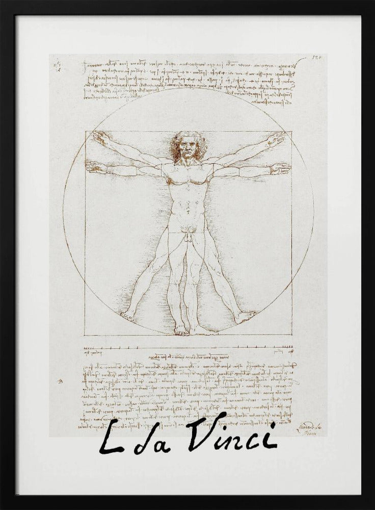 A framed print of Leonardo da Vinci's 'Vitruvian Man.' The famous sepia-toned sketch on aged paper shows a nude male figure in two poses, circumscribed by a circle and a square, with handwritten notes above and below. The artist's name is written at the bottom. Decor