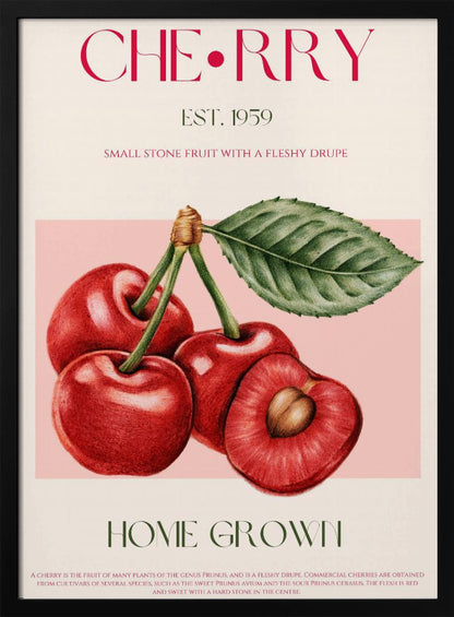 A vintage-style botanical poster of cherries with a black frame. The poster features a detailed illustration of four red cherries on a pink background. Above the illustration, the word 'CHERRY' is printed in large magenta letters, with 'EST. 1959' below it. At the bottom, it says 'HOME GROWN' in green, followed by a descriptive paragraph about cherries on a cream background. Poster