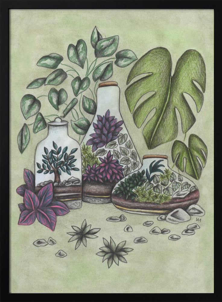A detailed colored pencil illustration featuring three distinct glass terrariums filled with miniature plants. One terrarium holds a small bonsai-like tree, while the others contain a mix of green and vibrant purple foliage. The scene is surrounded by lush greenery, including large monstera leaves and a vining plant, all set against a soft, pale green background with scattered stones. Artwork