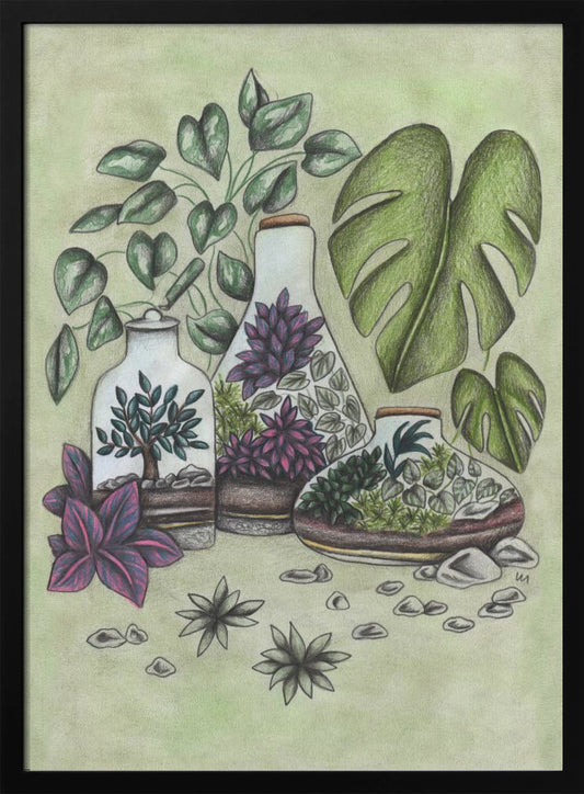 A detailed colored pencil illustration featuring three distinct glass terrariums filled with miniature plants. One terrarium holds a small bonsai-like tree, while the others contain a mix of green and vibrant purple foliage. The scene is surrounded by lush greenery, including large monstera leaves and a vining plant, all set against a soft, pale green background with scattered stones. Artwork