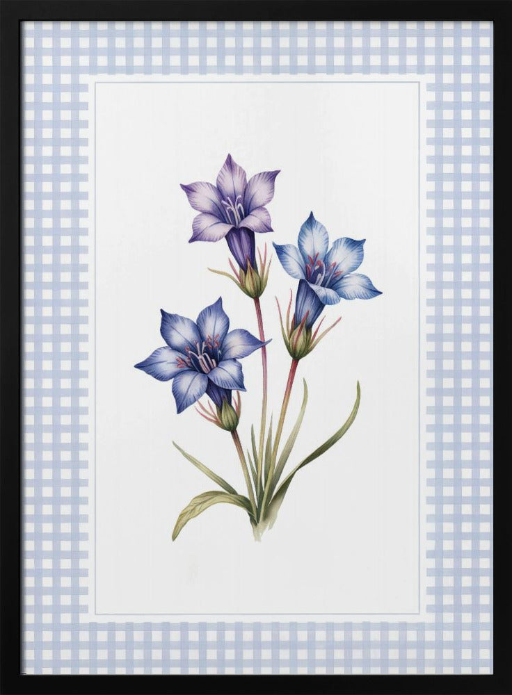 A botanical illustration of three purple and blue gentian flowers on green stems with leaves, centered on a white background. The artwork is surrounded by a light blue and white gingham mat and a thin black frame. Print