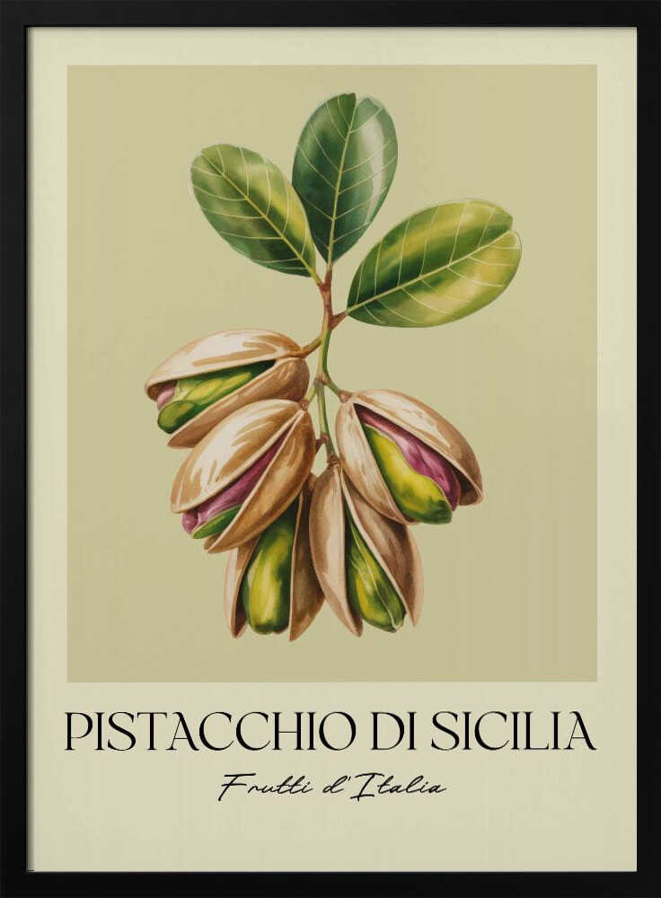 A vintage-style botanical poster illustrating a branch of Sicilian pistachios against a muted green background. The text below reads 'Pistacchio di Sicilia' and 'Frutti d'Italia'. The artwork is enclosed in a cream border and a simple black frame. Poster