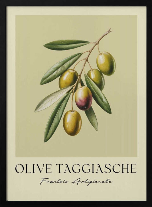A vintage-style botanical art print of an olive branch with green Taggiasche olives against a muted green background. The text 'OLIVE TAGGIASCHE' and 'Frantoio Artigianale' is at the bottom. The print is matted and in a black frame. Print