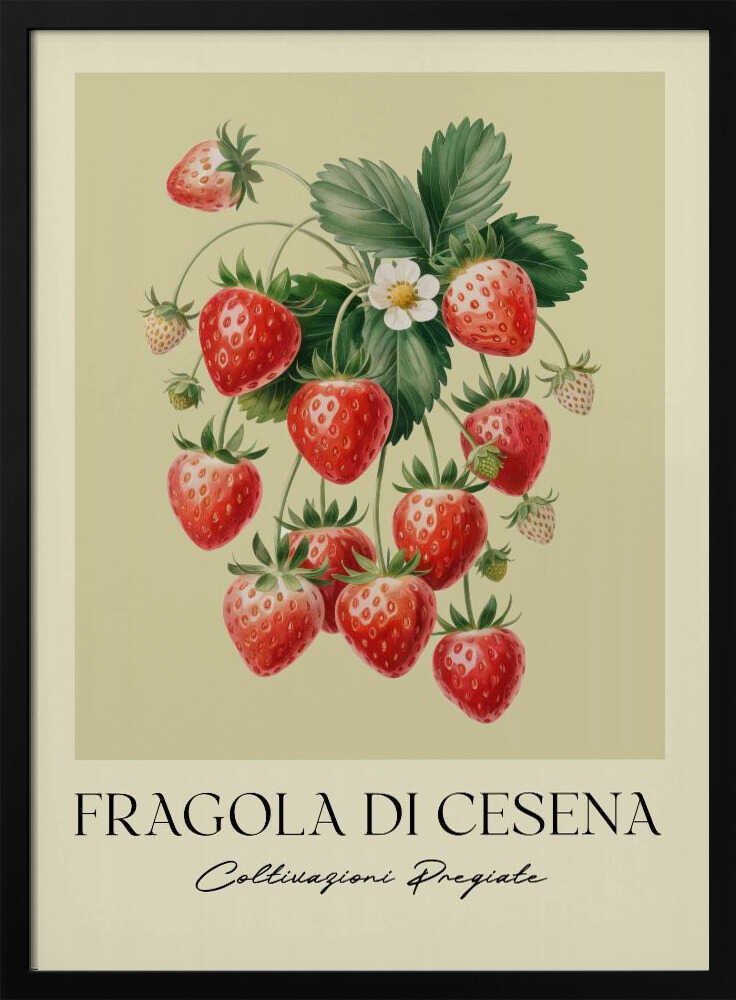 A vintage-style botanical poster featuring a detailed illustration of a strawberry plant with bright red berries, green leaves, and a small white flower. The background is a soft, pale yellow. Below the illustration, the text reads 'FRAGOLA DI CESENA' and 'Coltivazioni Pregiate' in Italian. The entire print is framed in black. Print