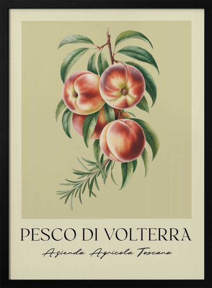 A vintage-style botanical poster of a peach branch with several ripe, red and yellow peaches and green leaves, set against a muted beige background. The poster has Italian text at the bottom that reads 'PESCO DI VOLTERRA' and 'Azienda Agricola Toscana' and is shown in a black frame. Decor