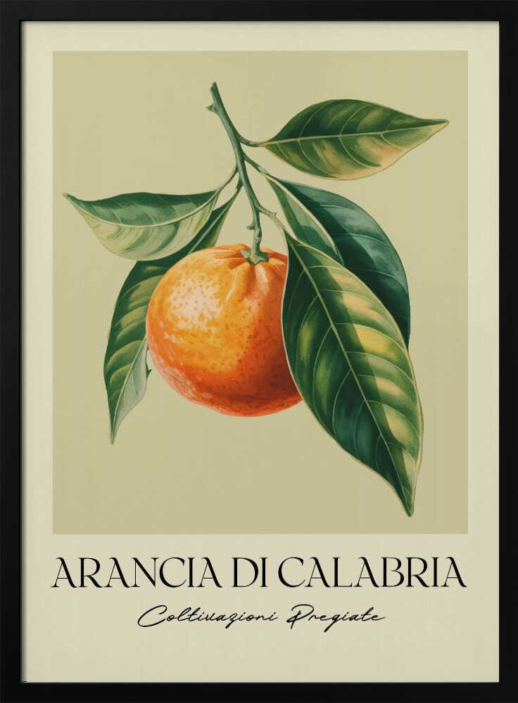 A vintage-style botanical illustration of a ripe orange hanging from a branch with lush green leaves, set against a pale yellow background. Below the image, the text 'ARANCIA DI CALABRIA' is printed in a serif font, with 'Coltivazioni Pregiate' in a script font underneath. The entire print is framed in black. Artwork