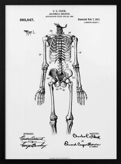 A framed black and white print of a vintage patent illustration for an anatomical skeleton by C.E. Fleck, patented February 7, 1911. The detailed drawing shows a full human skeleton from an anterior view with parts labeled with numbers, set against a light background with official patent text and signatures. Artwork