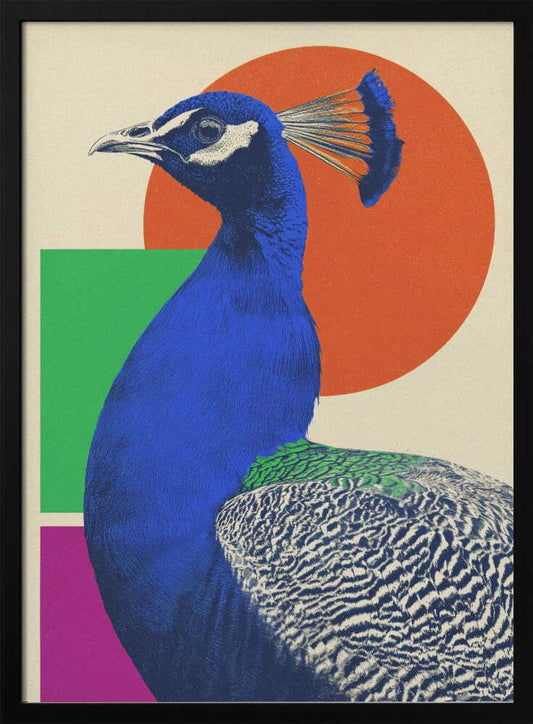 A modern graphic art poster featuring a profile view of a royal blue peacock against a cream-colored background with large geometric shapes, including an orange circle, a green rectangle, and a magenta rectangle. Wall Art