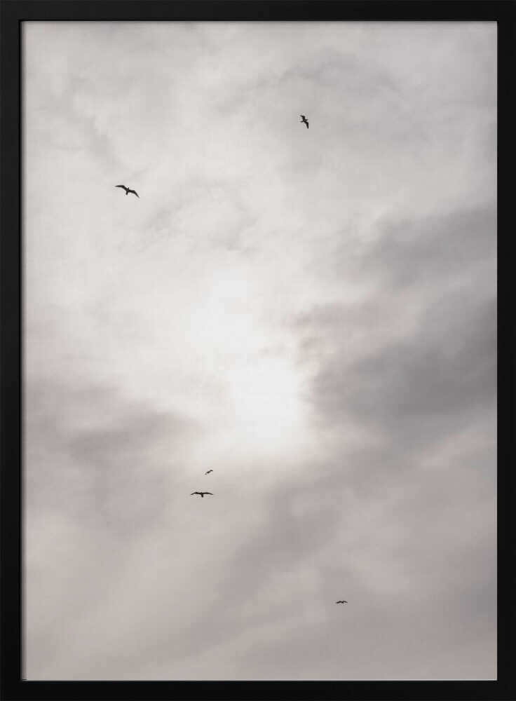 Silhouettes of birds flying across a bright, cloudy sky.