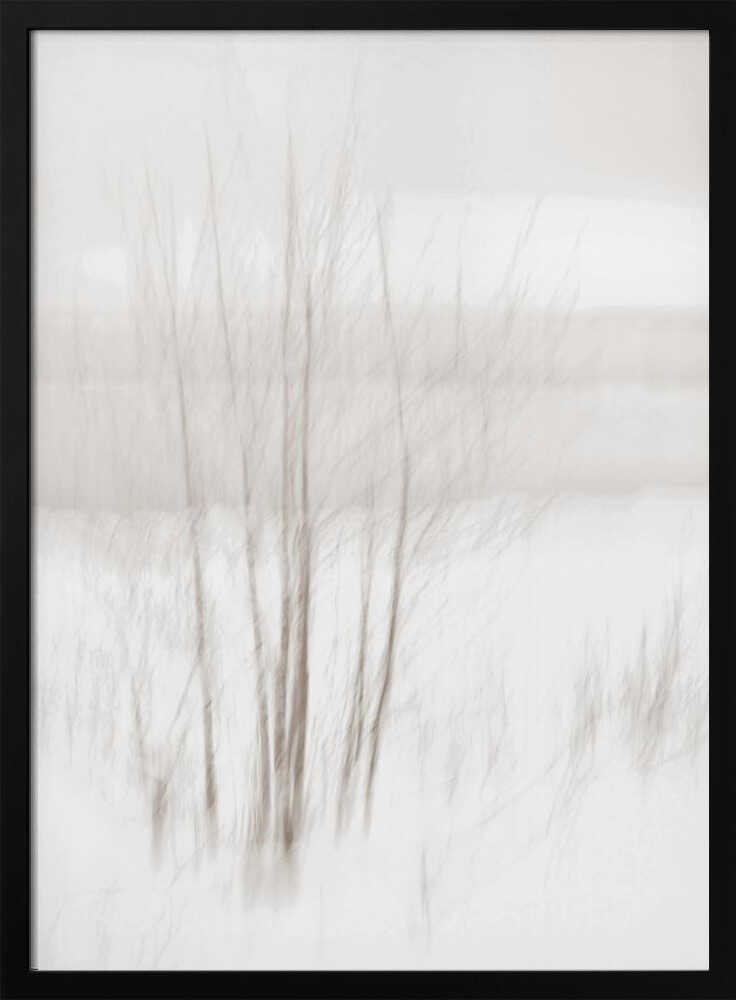 Abstract photo of bare trees in a misty, white winter landscape.