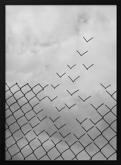 A conceptual black and white artwork showing a chain-link fence against a cloudy sky. A part of the fence is breaking apart, with the individual links transforming into a flock of birds flying away, symbolizing freedom and escape. Artwork