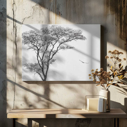 Black and white photograph of a large tree with a single bird flying against a light sky, nature wall art.