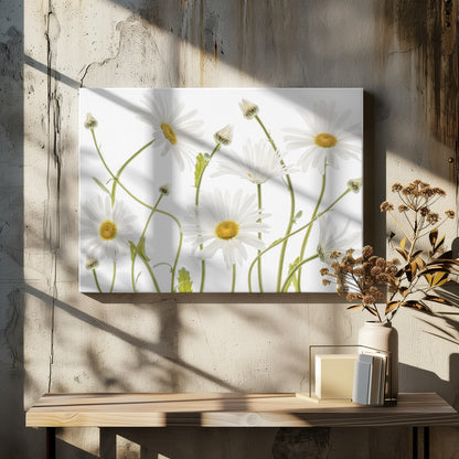 A framed piece of art featuring several white daisies with yellow centers and slender green stems against a clean white background. Some flowers are in full bloom while others are still buds. Wall Art