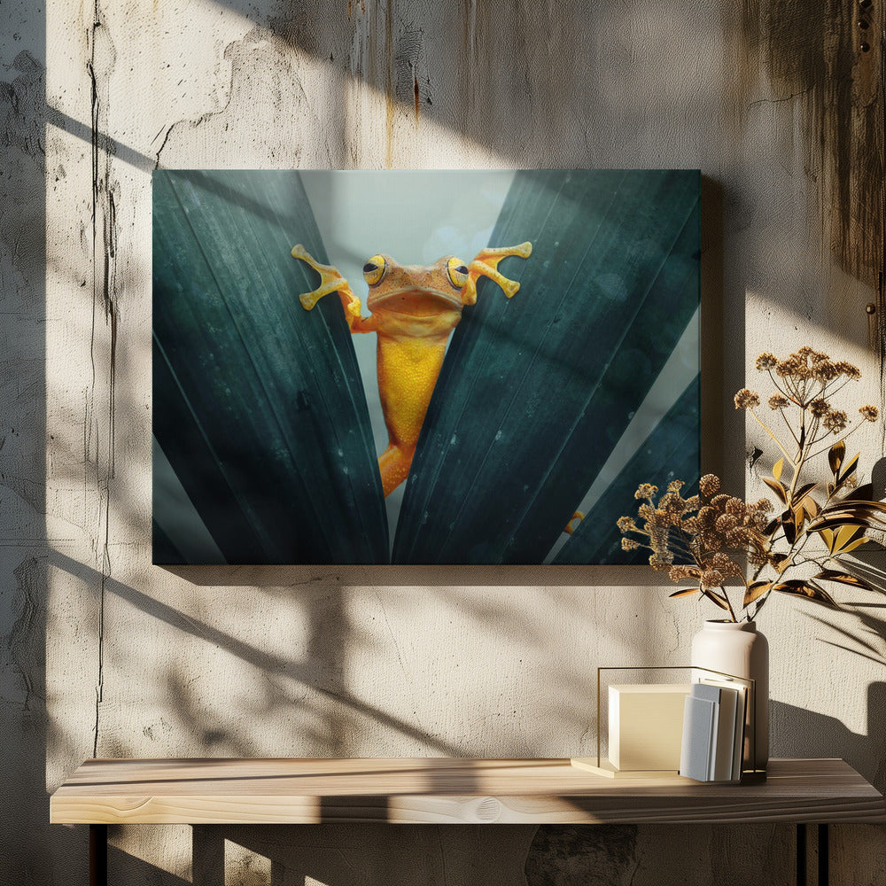 Gold Frog - Poster / Art Print