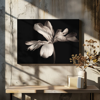 A dramatic, sepia-toned close-up photograph of a large, fully bloomed flower with soft, flowing petals, set against a solid black background and enclosed in a silver frame. Decor