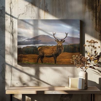 A majestic red deer stag with large antlers stands on a grassy hill, looking directly forward. In the background, a serene lake is surrounded by a dense forest and misty mountains under a dramatic, cloudy sky. The entire photograph is displayed within a silver-colored frame. Poster