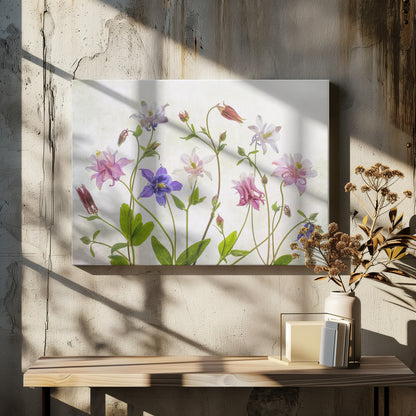 A delicate arrangement of various columbine flowers in shades of purple, pink, white, and red, with bright green leaves and stems against a soft, light-textured background, enclosed in a silver frame. Artwork