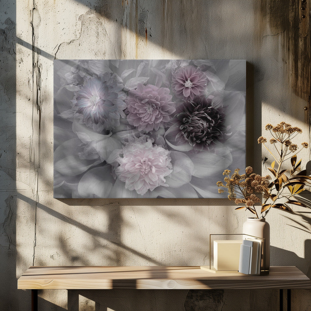 A soft-focus floral artwork in a silver frame, featuring a dense arrangement of dahlias. The image is mostly grayscale, with the flowers highlighted in muted tones of lavender, mauve, and deep purple for a dreamy, romantic feel. Print