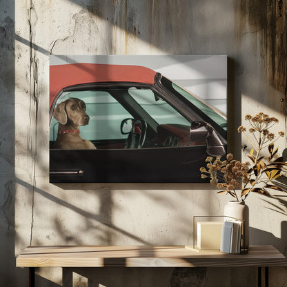 A Weimaraner dog sits in the driver's seat of a black convertible car with a red soft top. The dog is looking out the side window with a calm expression. Artwork