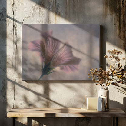 A dreamy, soft-focus photograph of a single pink flower seen from a low angle, with delicate, translucent petals against a muted, hazy background, presented in a silver frame. Print