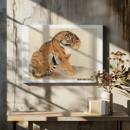 A vintage Japanese painting by Maruyama Ōkyo featuring a fluffy tiger sitting down and looking over its shoulder. The tiger has vibrant orange fur with black stripes and a white ruff. The background is a simple, textured beige paper with Japanese characters on the left. The artist's name is printed in the bottom right corner, and the entire piece is displayed in a silver frame. Print